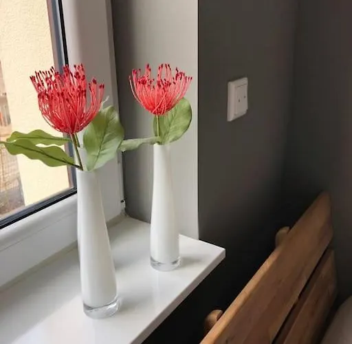 Apartmán Pyramideneiche Detmold/berlebeck, Naturnah Detmold