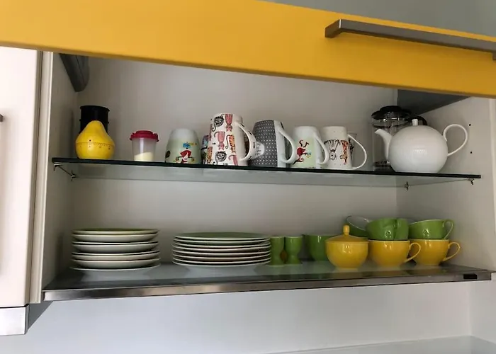 Pyramideneiche Detmold/berlebeck, Naturnah Detmold